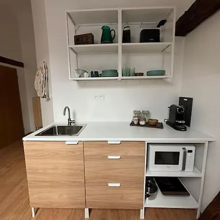Apartament Povala S Parkovanim Stare Mesto *