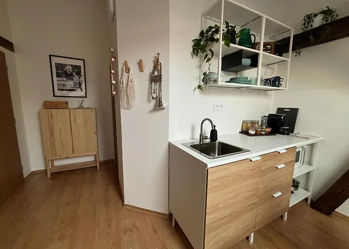 Povala S Parkovanim Stare Mesto * ジリナ